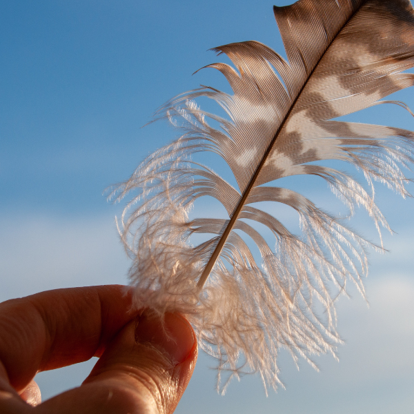 Feather